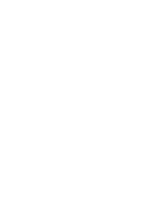 DIS Sécurité